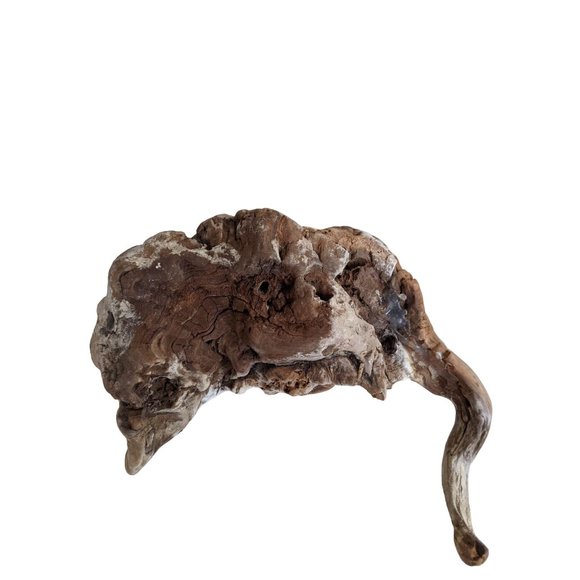 Frogs on a Log Figurine - Picture 2 of 4